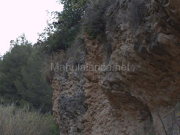 Rambla Perea-Mula 2018